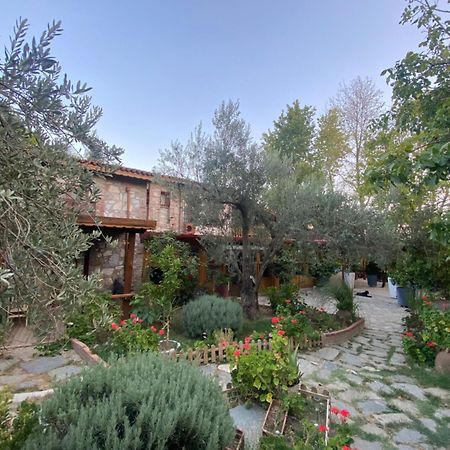 Pavelin Yeri Otel Edremit  Extérieur photo